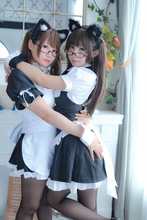 1584242980mWVw-683x1024.jpg