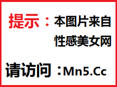 1816021339.png