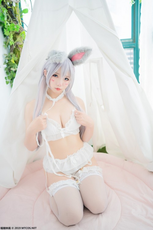 6A221432369c870a0cf658f8a44.jpg